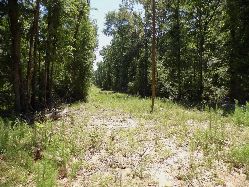 345 Cr 1080 Kennard, TX 75847