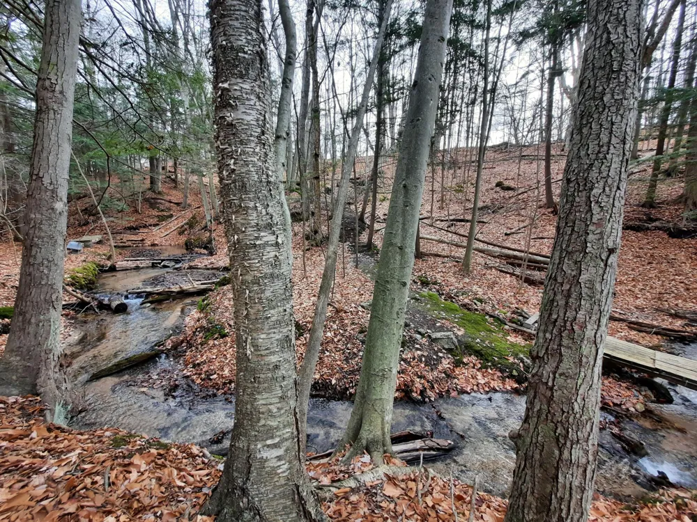 8424 3rd Street Onekama, MI 49675