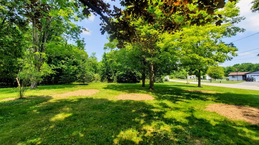 8424 3rd Street Onekama, MI 49675