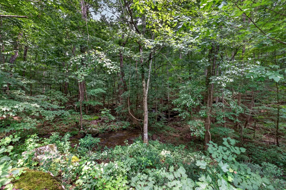 582 Spencer Dr Spencer, TN 38585