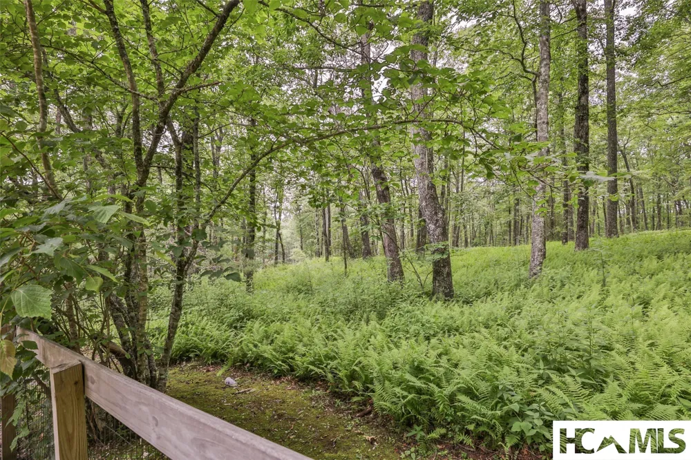 99 Balsam Lane Highlands, NC 28741
