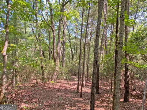 10.59AC T S Jarrard Road