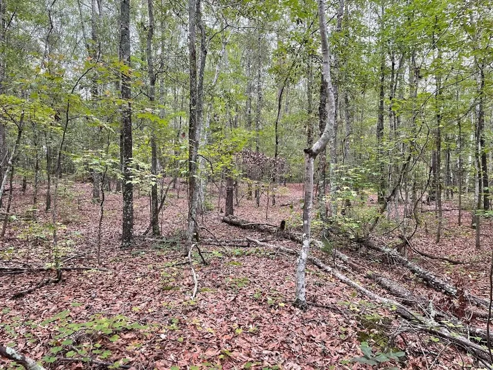 0 Spence Road Fairburn, GA 30213