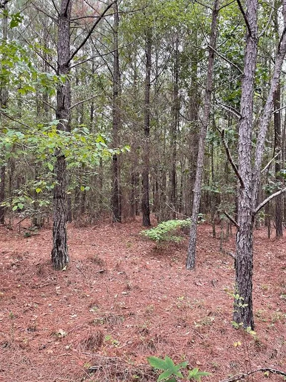 0 Spence Road Fairburn, GA 30213