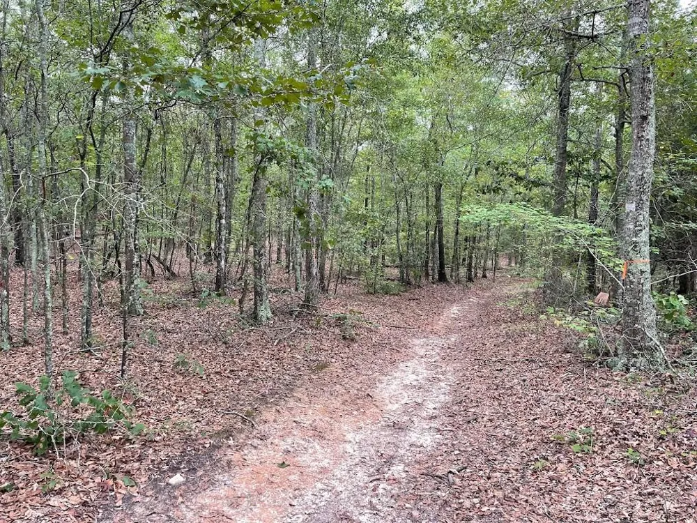 0 Spence Road Fairburn, GA 30213