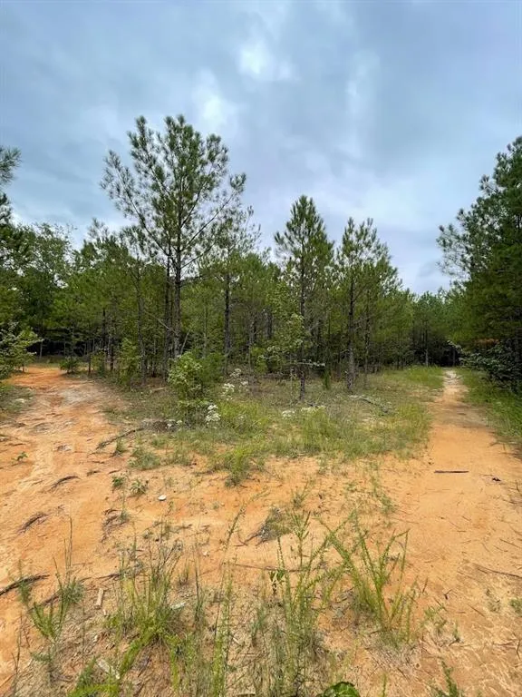 0 Spence Road Fairburn, GA 30213