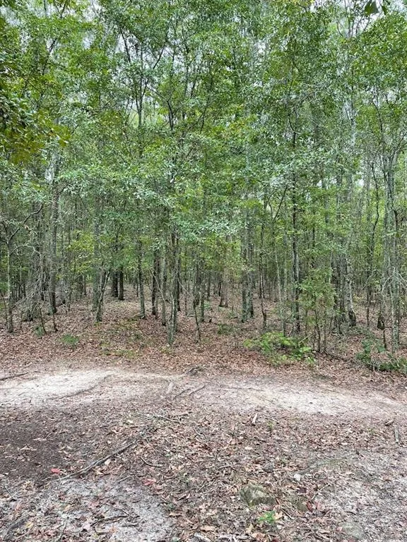 0 Spence Road Fairburn, GA 30213