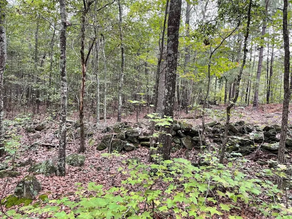 0 Spence Road Fairburn, GA 30213