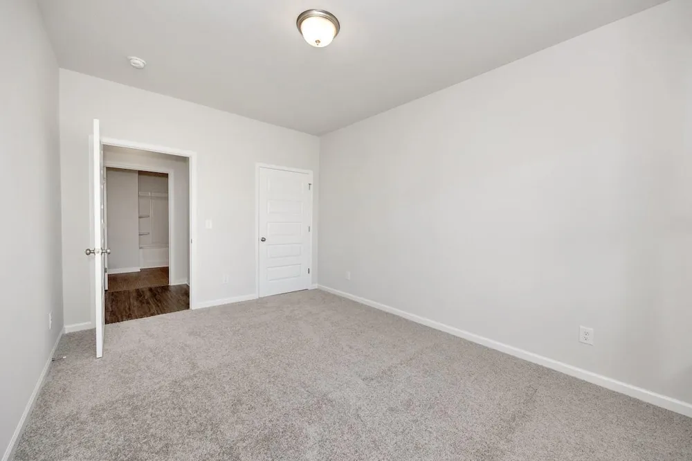 3426 Windmill Palm Drive Manvel, TX 77578
