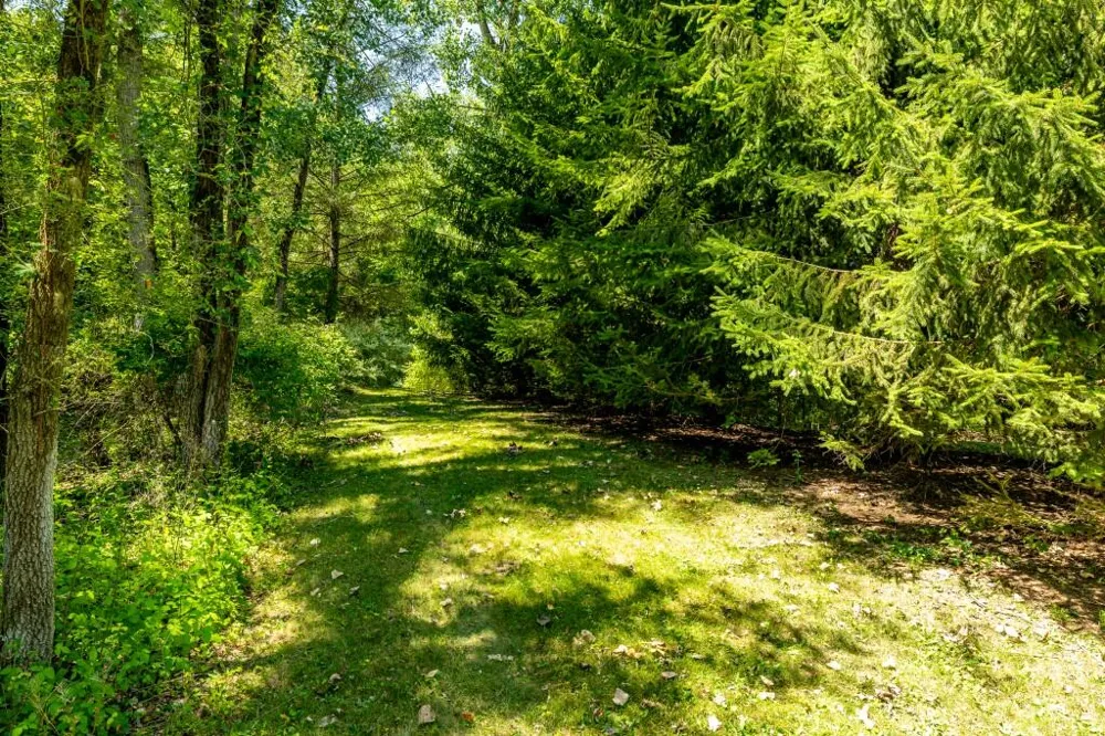 3447 River Pines Drive Ann Arbor, MI 48103