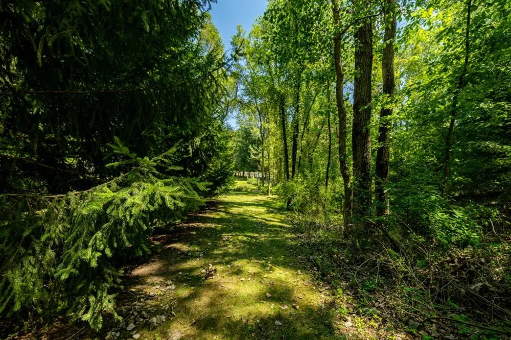 3447 River Pines Drive Ann Arbor, MI 48103