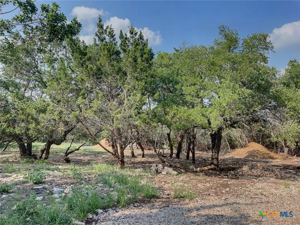 1131 Yaupon Drive Fischer, TX 78623