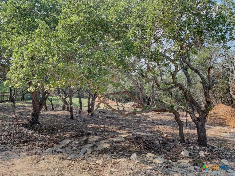 1131 Yaupon Drive Fischer, TX 78623