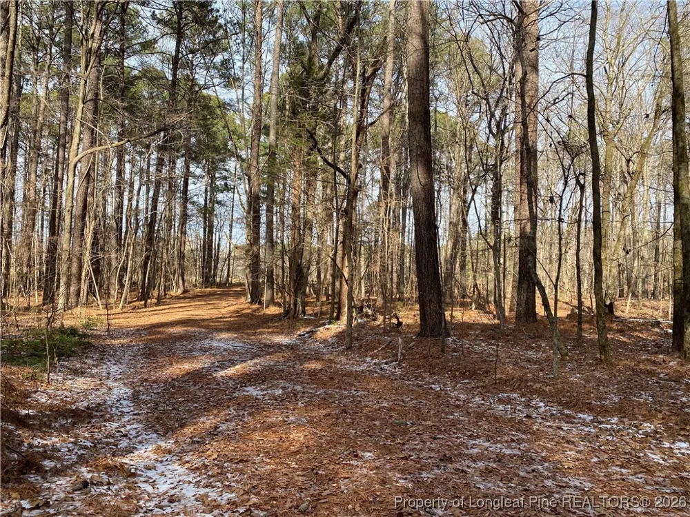 Breezeway Lane Carthage, NC 28327