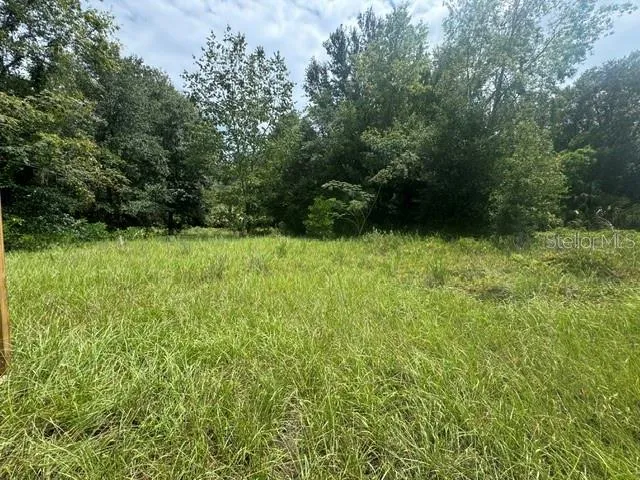 18011 US HWY 301 Citra, FL 32113