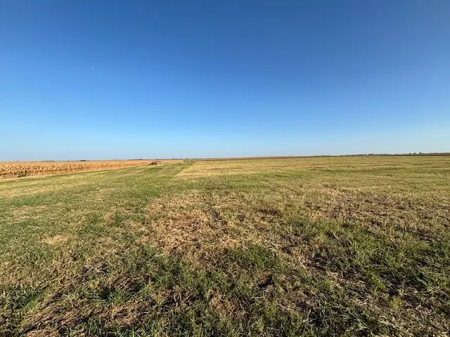FM 67 Highway Covington, TX 76636