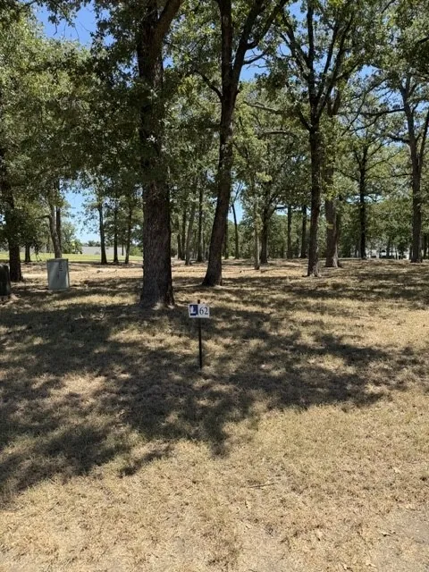 387 St Andrews Drive Mabank, TX 75156