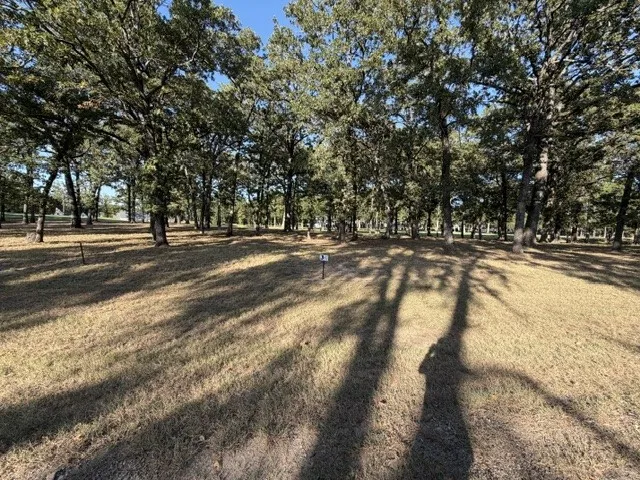 387 St Andrews Drive Mabank, TX 75156