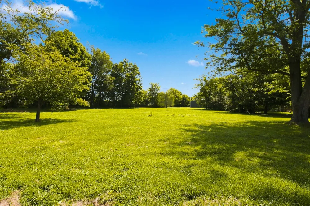 110 Lavergne St Manchester, TN 37355