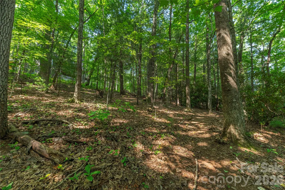 99999 Claru Ridge Fletcher, NC 28732