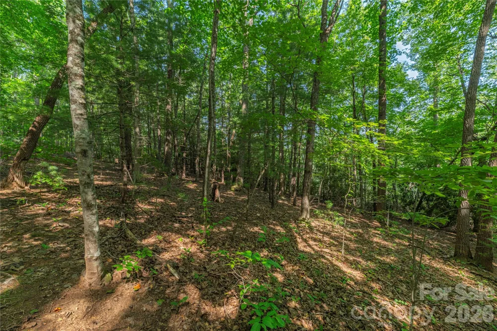 99999 Claru Ridge Fletcher, NC 28732