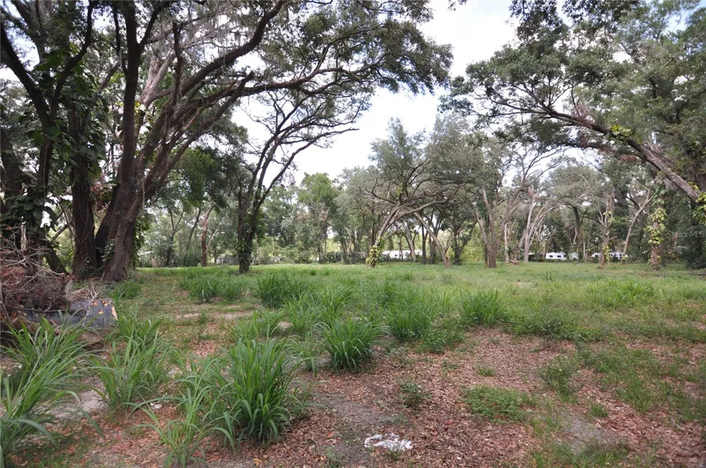 6734 20TH STREET Zephyrhills, FL 33542
