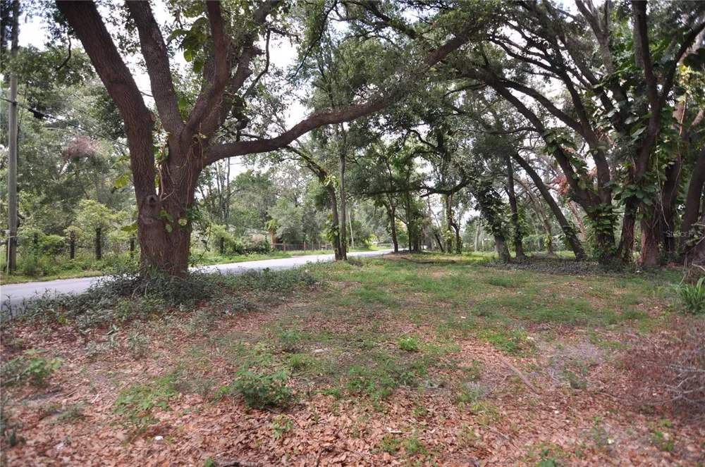 6734 20TH STREET Zephyrhills, FL 33542