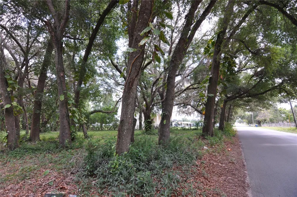 6734 20TH STREET Zephyrhills, FL 33542