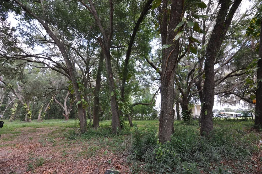 6734 20TH STREET Zephyrhills, FL 33542