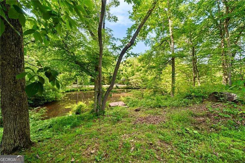 31 Fawn Lake TRL NE White, GA 30184