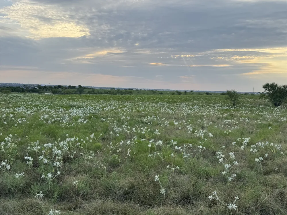 145 Private Road 4512 Decatur, TX 76234