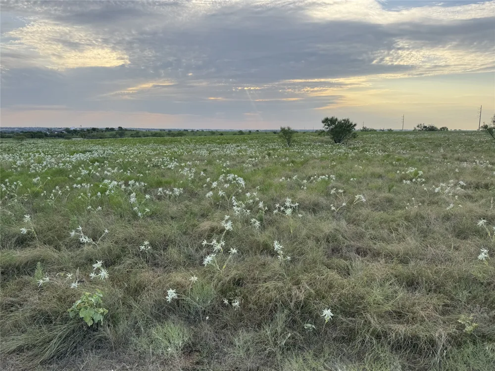145 Private Road 4512 Decatur, TX 76234