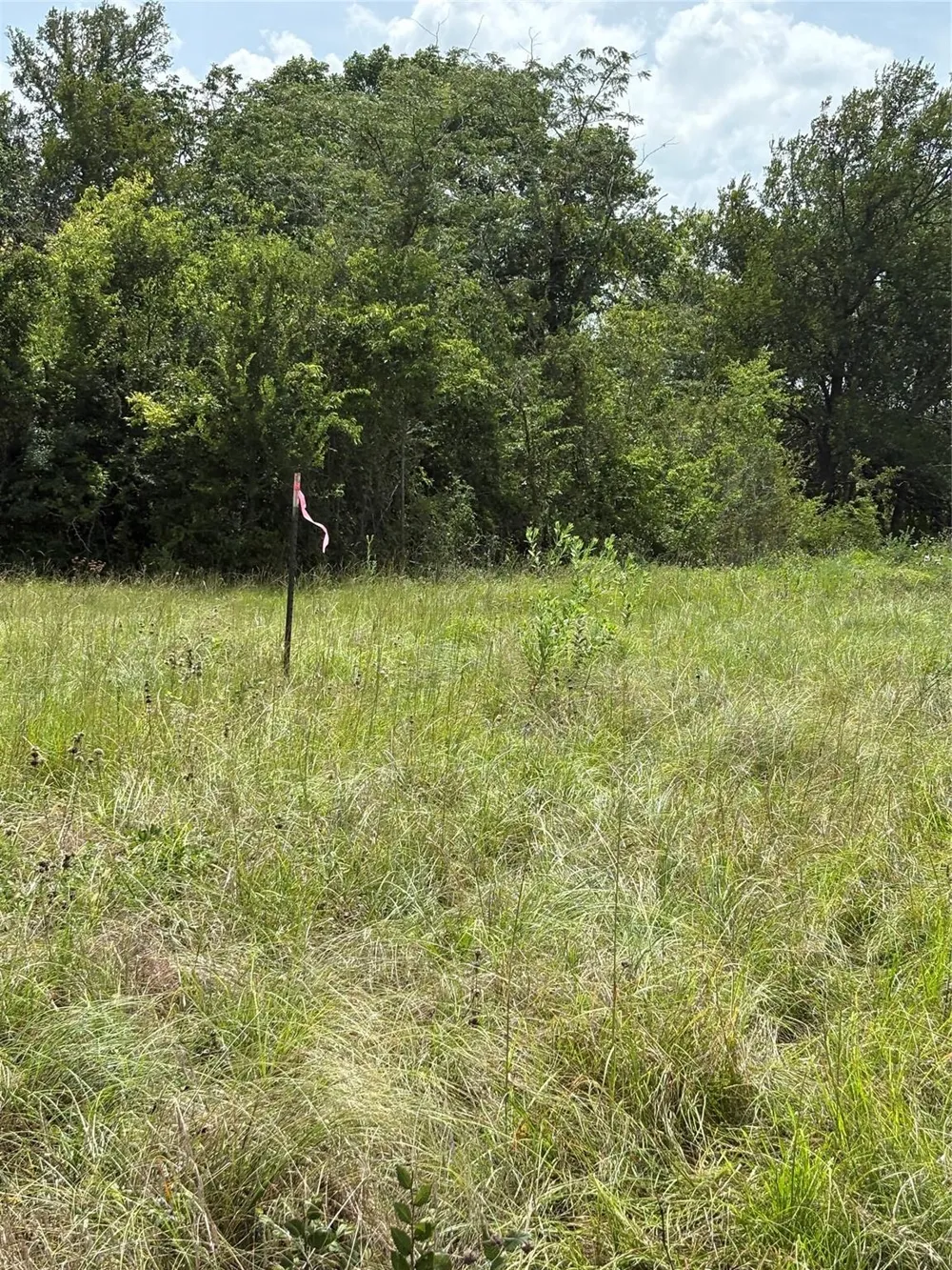 10265 Fm 1774 Tract B1 Plantersville, TX 77363