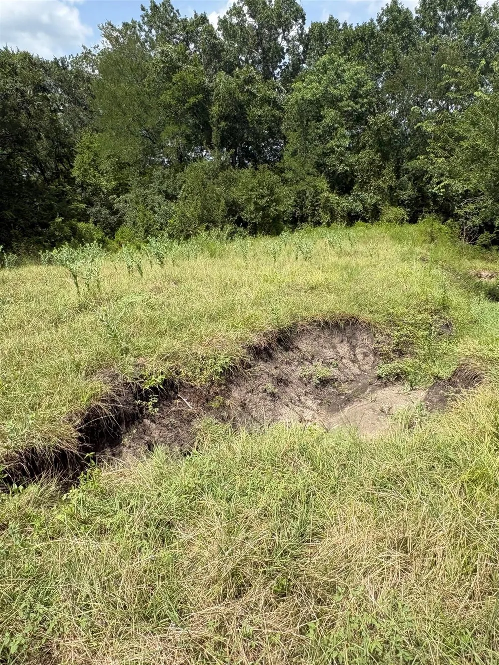 10265 Fm 1774 Tract B1 Plantersville, TX 77363