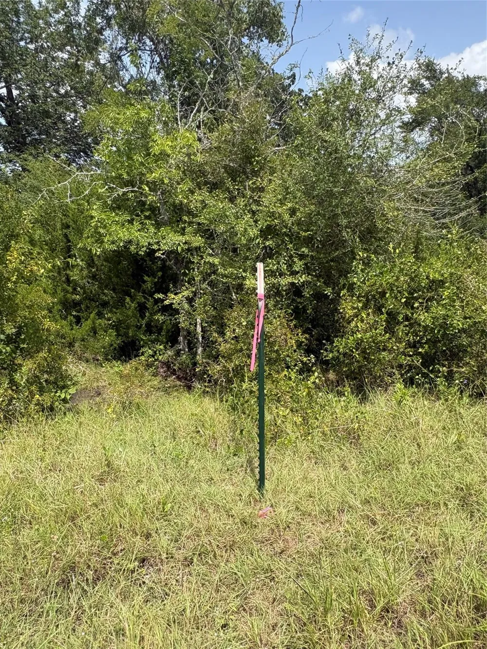 10265 Fm 1774 Tract B1 Plantersville, TX 77363