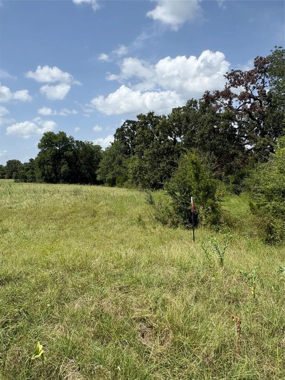 10265 Fm 1774 Tract B1 Plantersville, TX 77363