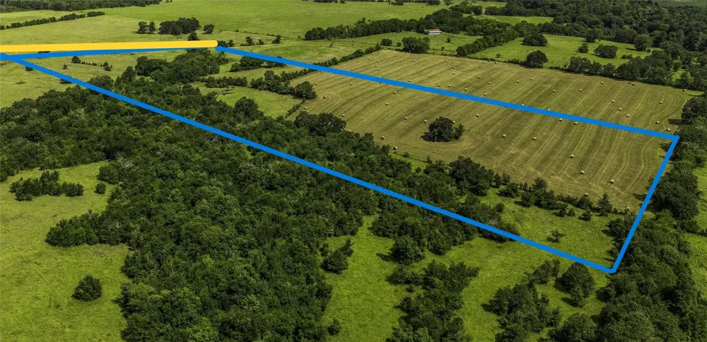 10265 Fm 1774 Tract B1 Plantersville, TX 77363