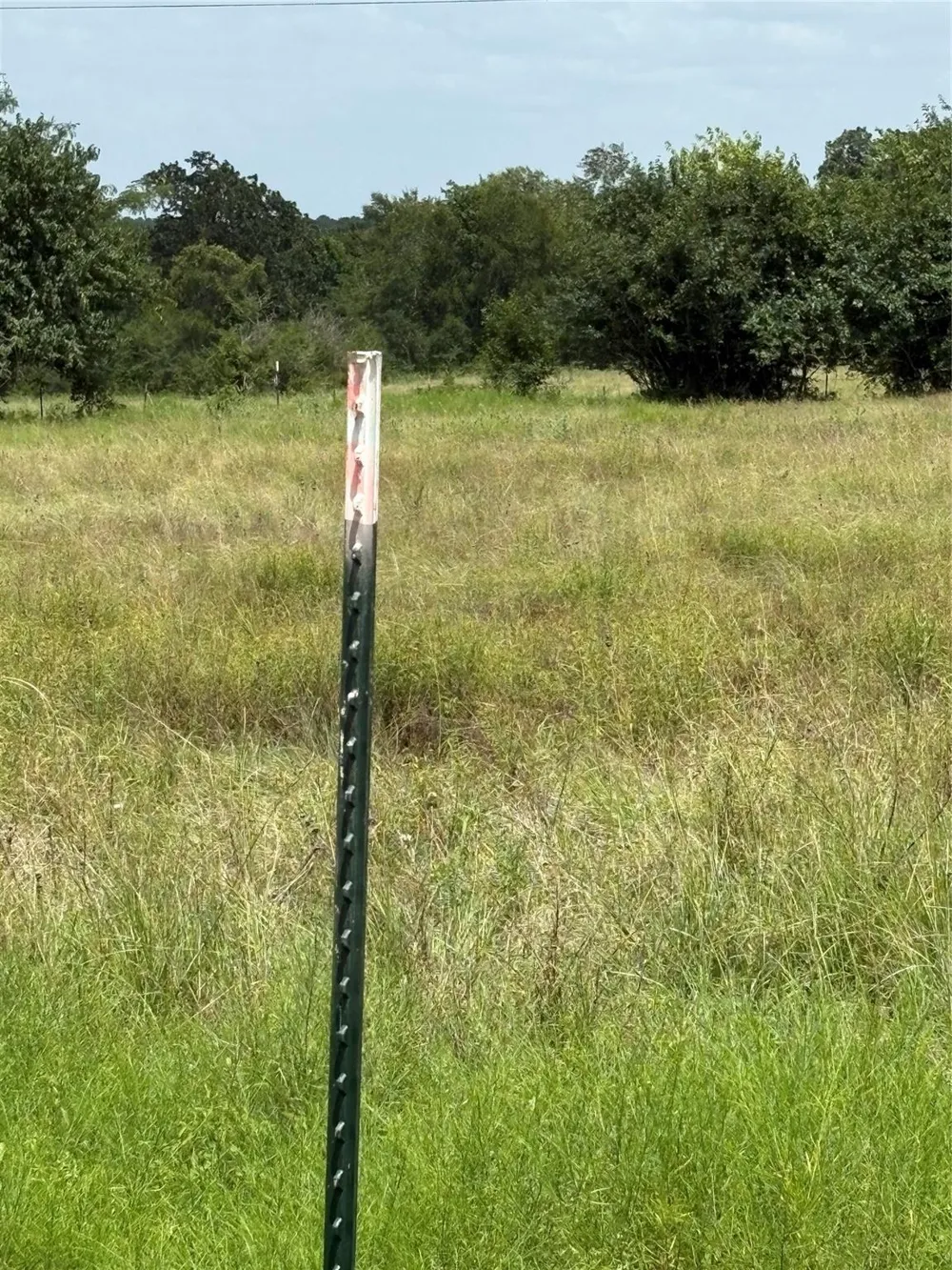 10265 Fm 1774 Tract B1 Plantersville, TX 77363