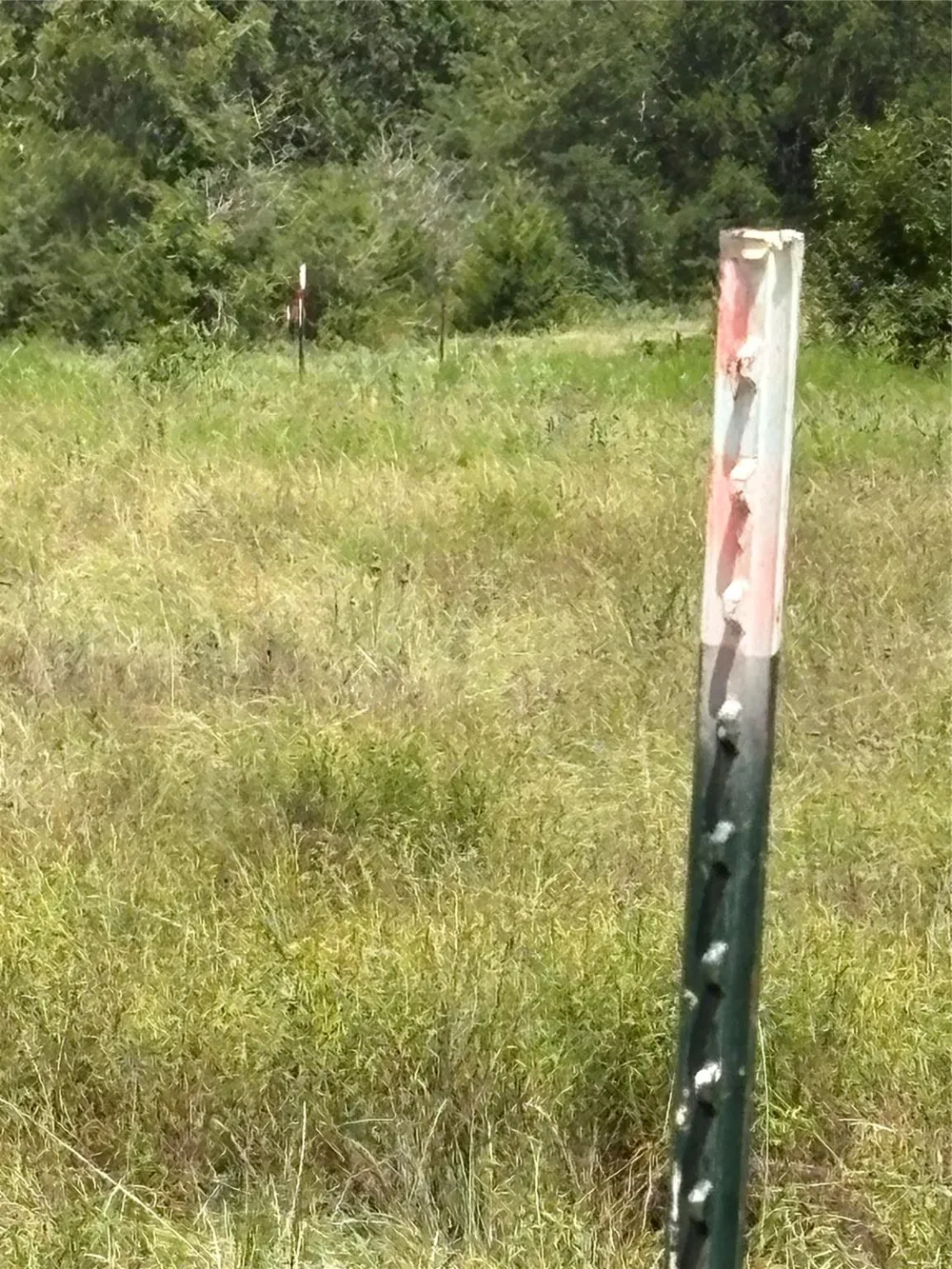 10265 Fm 1774 Tract B1 Plantersville, TX 77363