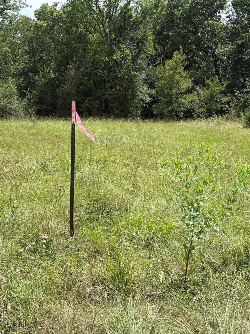 10265 Fm 1774 Tract B1 Plantersville, TX 77363