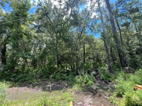 FRANKLIN DRIVE