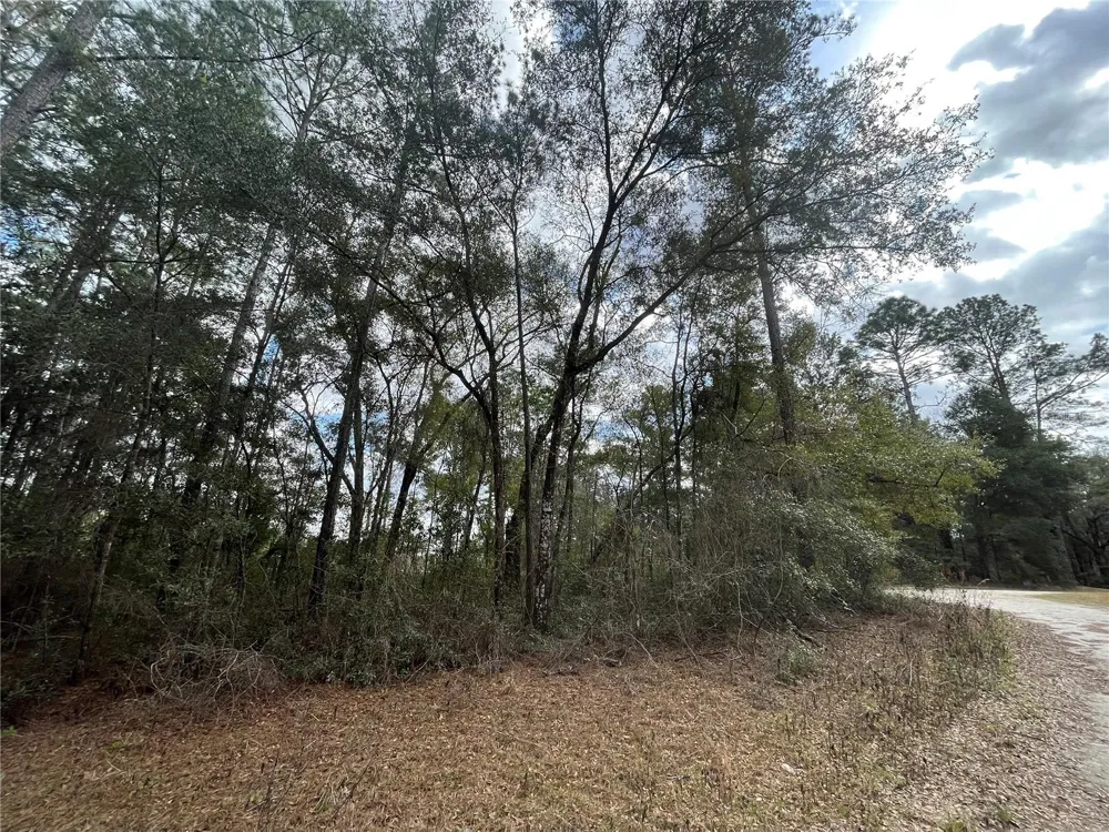 0 SW 152ND TERRACE ocala, FL 34481