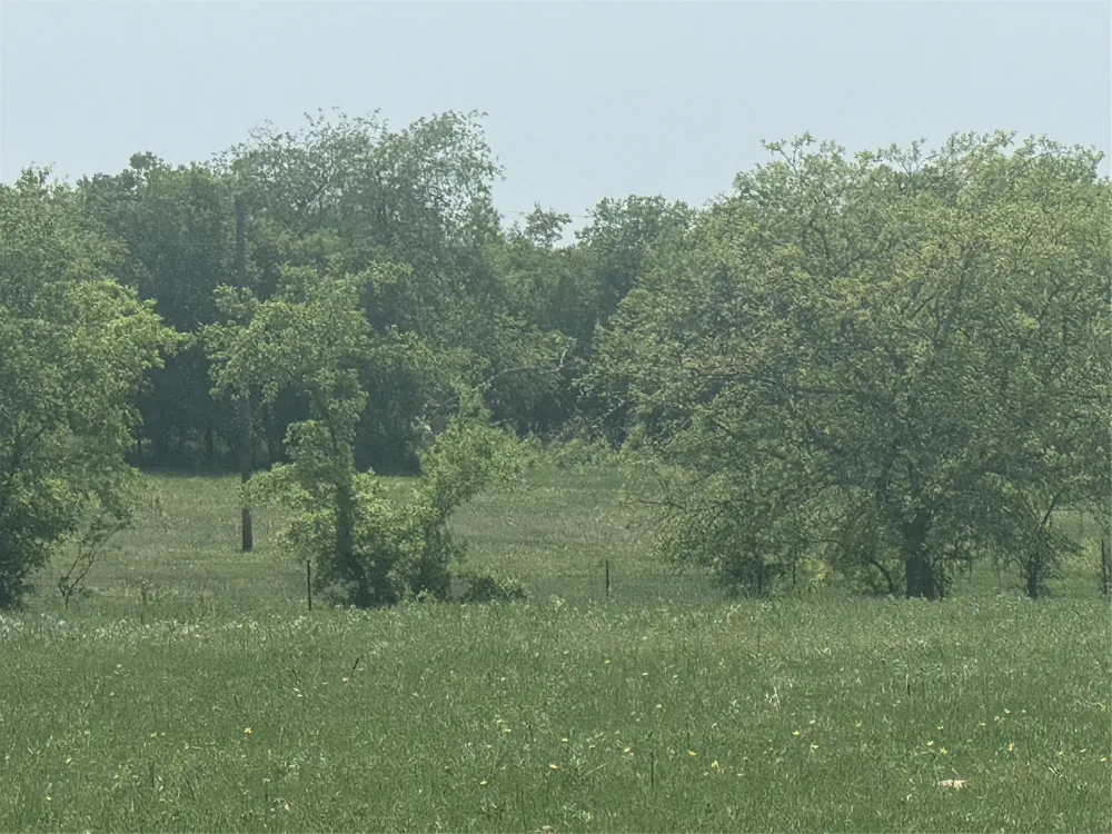 340 Private Road 4512 Decatur, TX 76234