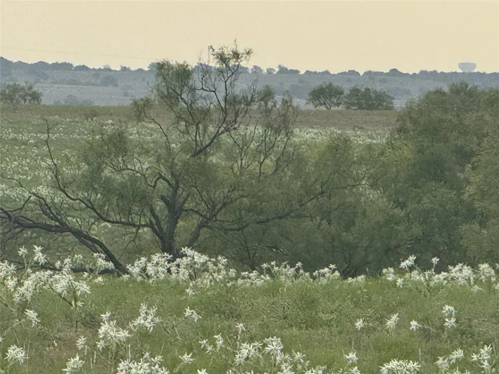 313 Private Road 4512 Decatur, TX 76234