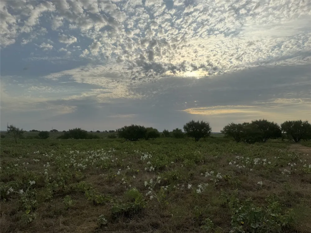 313 Private Road 4512 Decatur, TX 76234