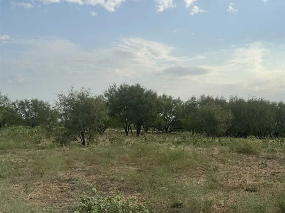 313 Private Road 4512 Decatur, TX 76234