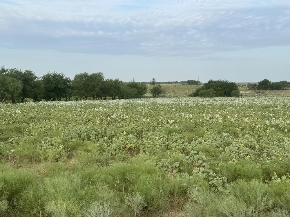 313 Private Road 4512 Decatur, TX 76234