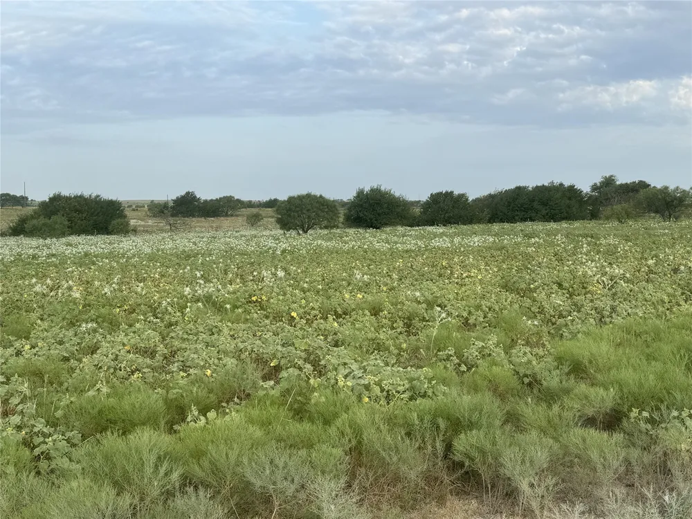 313 Private Road 4512 Decatur, TX 76234