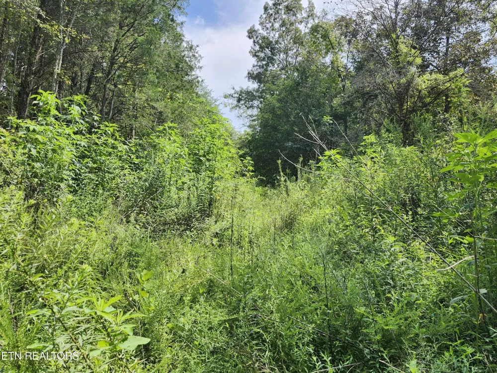 340 Swadis Drive Sevierville, TN 37876