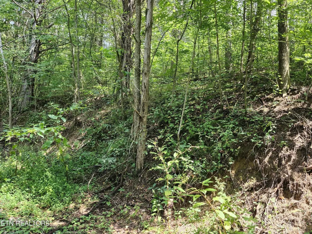 340 Swadis Drive Sevierville, TN 37876